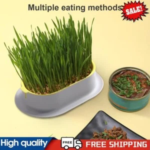 Cat Grass Box Soilless Wheatgrass Seeds Grower Tray Plastic for Indoors Outdoors - Picture 1 of 8