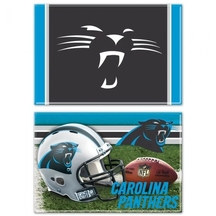 TWO (2) CAROLINA PANTHERS 2" X 3"  METAL MAGNETS FROM WINCRAFT - Image 1 of 1