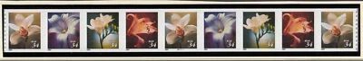 2001 Flowers 4 different 34c MNH PNC Sc 3481a plate number strip of 9 B1111 - Image 1 of 2