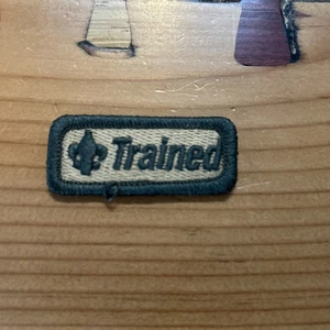 BSA - Trained Adult Patch - Green/Khaki - Picture 1 of 3