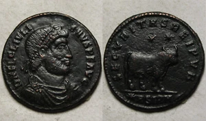 Rare Genuine Ancient Roman coin Julian II Apostate AE 1 361AD Bull Stars Sirmium - Picture 1 of 4