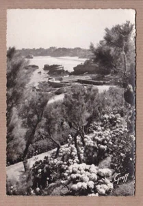 CARTE POSTALE CPSM NOIR & BLANC / BIARRITZ LE PORT DES PECHEURS HORTENSIAS - Imagen 1 de 1