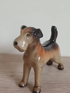 W R A Midwinter Fox / Airdale Terrier 4.5 inch High Burslem Rare Colour - Picture 1 of 9