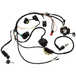 Complete Electric Wiring Harness for Chinese ATV UTV Go Kart Taotao 50cc... - Picture 1 of 4