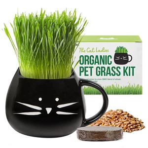 Organic Cat Grass Growing Kit with Black Cat Mug Planter - Picture 1 of 9