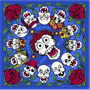 Bandana Sunshine Joy Last Tour de Antonio Reonegro 22"x22" ENVÍO GRATUITO - Imagen 1 de 1