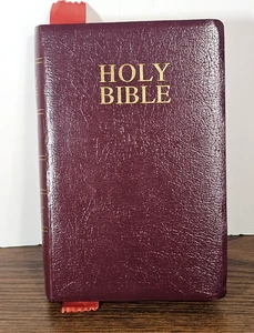 KJV Holy Bible Red Letter Study Helps & Dictionary  Zondervan 2002 Leather-Look - Picture 1 of 14