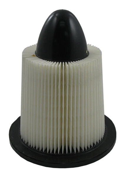 Filtro de aire del motor para Ford Mustang 1994-2004 con 3,8 L 6 cilindros V Foto 1 de 1