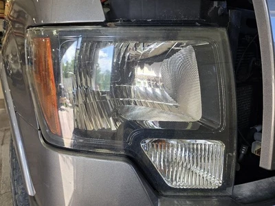 Faro de pasajero halógeno FX2 para camioneta Ford F150 10-14 637369 Foto 1 de 4