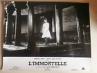 L'IMMORTELLE,PHOTO CINEMA ORIGINALE, 23,2 X 29,4 CM,001-0190
