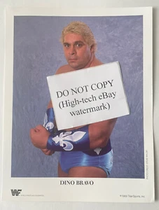 Vintage 1989 WWF Press Promo Steve Taylor COLOR Photo - Dino Bravo - Picture 1 of 6