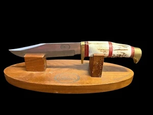 Vintage Ducks Unlimited Stag Fixed Blade Knife W/ Display - Picture 1 of 3