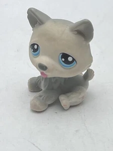 Littlest Pet Shop~#70~Husky~Perro Cachorro~Sentado~Gris Blanco~Ojos Azules~Imán Rojo - Imagen 1 de 5