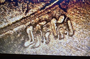 🇺🇸DDR (5) 2018 D LINCOLN SHIELD CENT DDR🇺🇸 - Picture 1 of 6