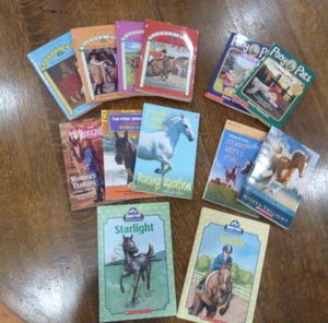 LOT 13~MIXED YOUNG ADULT PONY/HORSE CHAPTER BKS~BREYER, BETANCOURT, BRYANT,HENRY - Bild 1 von 11