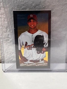 2009 Upper Deck Goodwin Champions Magician - Adam Wainwright #218 2/8 SSP - Picture 1 of 2