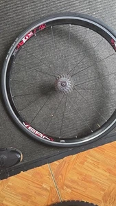 Xero Lite Hinterrad Drahtreifen Alufelge mit Campy 10 Gang Kassette und Conti Reifen - Bild 1 von 5