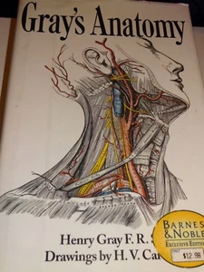 TXTBK Gray's Anatomy 1995 Barnes & Noble Edition Hardcover w/Dust Jacket - Foto 1 di 6