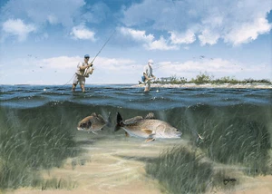 "Golden Moment" John Dearman Giclee Print Wade Fishing Redfish Texas Coast - Picture 1 of 1