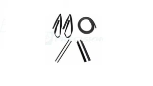 fits 1987 - 1996 Dodge Dakota Door seals, beltlines and glass run channels - Picture 1 of 4