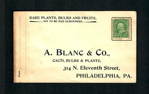 PH#2 Cubierta 1900s a Cactus Bombillas y Plantas, Publicidad Raras Plantas Bombillas y Frutas - Imagen 1 de 2