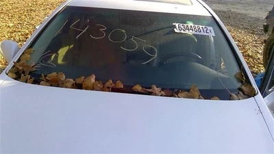 Windshield Glass Laminated Rain Sensor Heated Fits 07-12 LEXUS LS460 356479 Foto 1 de 4