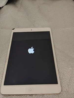 Apple iPad mini 1. Gen. 16GB, WLAN 20,07 cm 7,9 Zoll Model A1432 silber #087 - Bild 1 von 4