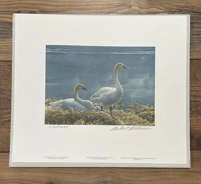 1990 NFWF - Impresión de pato y vida silvestre **Robert Bateman** Foto 1 de 4