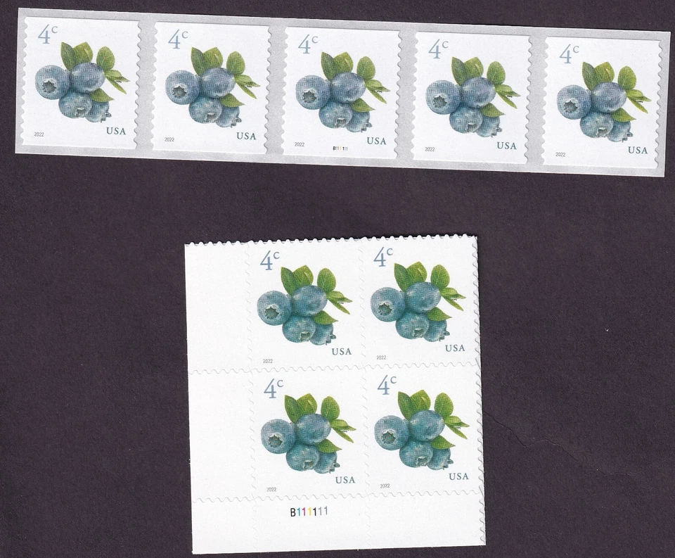 Scott #5652-5653 Blueberries Plate Block & Plate # Coil (PNC5) of 5 Stamps - MNH - Image 1 of 1