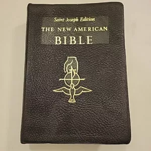 The New American Bible St. Joseph Edition Large Print Illustrated - Picture 1 of 24
