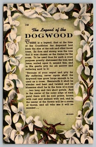 AK Der Vorsprung vom Hartriegel um 1 953 Leinen Gedicht Geschichte - Bild 1 von 2