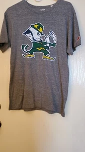 Notre Dame T-shirt, Grey, Sz. L - Picture 1 of 4