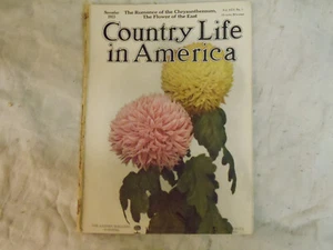 Country Life in America Magazine   November 1913 - Picture 1 of 3