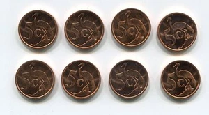 South Africa Coins - set of 8 UNC/BU 1999 5 cent coins - Tsonga AFRIKA KM#160 - Picture 1 of 1