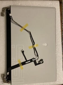 Dell Alienware Area 51m R2 17.3" FHD LCD Screen Display C2XX2 T1 L4 Scratch Read - Picture 1 of 16