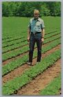 President Jimmy Carter Surveys Peanut Fields Postcard