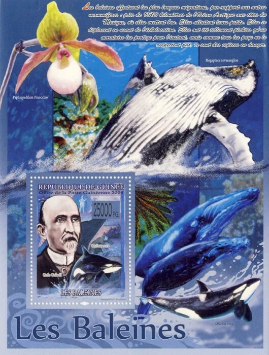 Гвинея 2008 как новая без наклеек и следов - фауна - киты, косатки орхидеи. YT 854, Mi 5556/BL1524 - Изображение 1 из 1