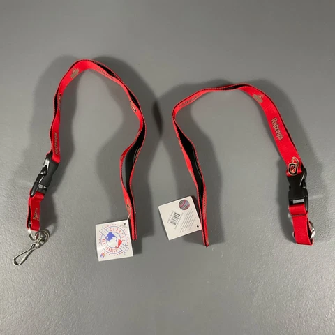 Arizona Diamondbacks MLB Baseball Keychain Lanyard Team Logo Sports - LOT OF 2 Cover