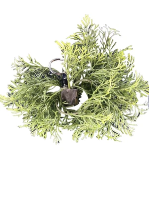 Homemade Geocache — Fake Branch Style w/ Bison Jar — Handmade Micro Hide - Image 1 of 4