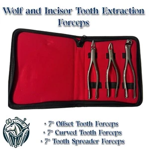 3-Piece Equine Wolf Tooth Forceps Set – Precision Dental Tools - Picture 1 of 3