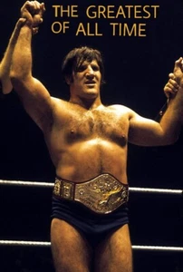 nevera nevera nevera caja herramientas imán 3x5 classic pro lucha libre bruno sammartino - Imagen 1 de 2