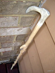 ganz natur/knorrig Twisty WILDKIRSCHE Hirschgeweih Griff Gehstock/ROHR - Bild 1 von 9