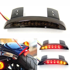 Motorcycle Rear Fender Edge Smoke LED Turn Signal Brake Plate Stop Tail Light - Foto 1 di 12