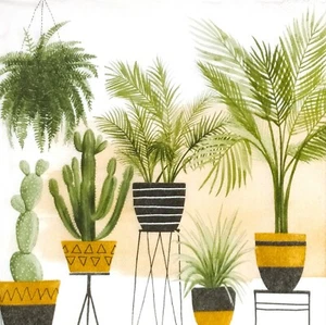 Q022# 3 servilletas de papel individuales para decoupage plantas verdes en macetas patrón - Imagen 1 de 8