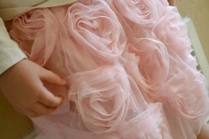 NUEVA CON ETIQUETAS GAP Corazón Roseta Rosa Suave Tul Falda Forrada de Tutú Rosa Niñas 3T - Imagen 1 de 2