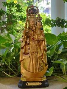 Poliresina Regalo Cristiano Nuestra Señora de la Salud Velankanni Estatua de Nuestra Madre María - Imagen 1 de 6