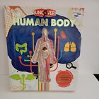 Ser à découvrir.: Découvrir le corps humain par Luann Colombo (2021, couverture rigide)