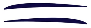 2 RV Trailer Camper Forest River Cruise Lite Graphics Decals -2992 - Imagen 1 de 1