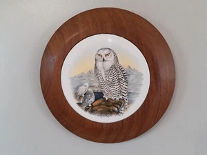 Framed Wall Hanging Plaque Art Plate Bird Owl Animal Wood & Ceramic Ornament - Picture 1 of 12