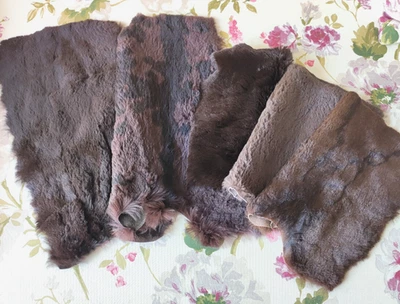 Kaninchen Felle ,Farbmix 5 Teile, dunkelbraun geschorenes Kanin ,  - Bild 1 von 4